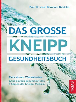 cover image of Das große Kneipp-Gesundheitsbuch